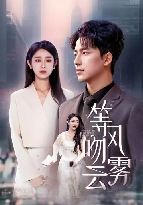 城中之城 剧集海报